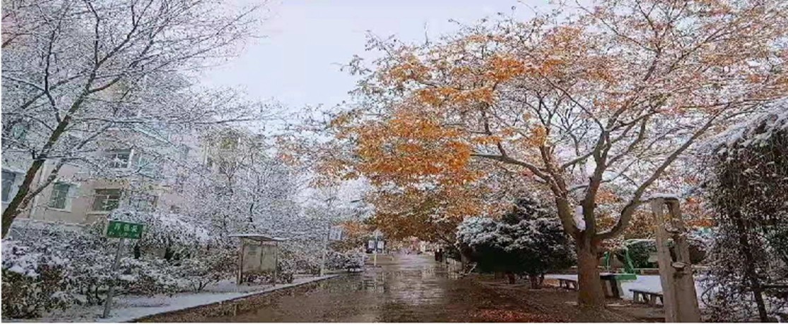 1636599044705625.jpg 5_副本.jpg