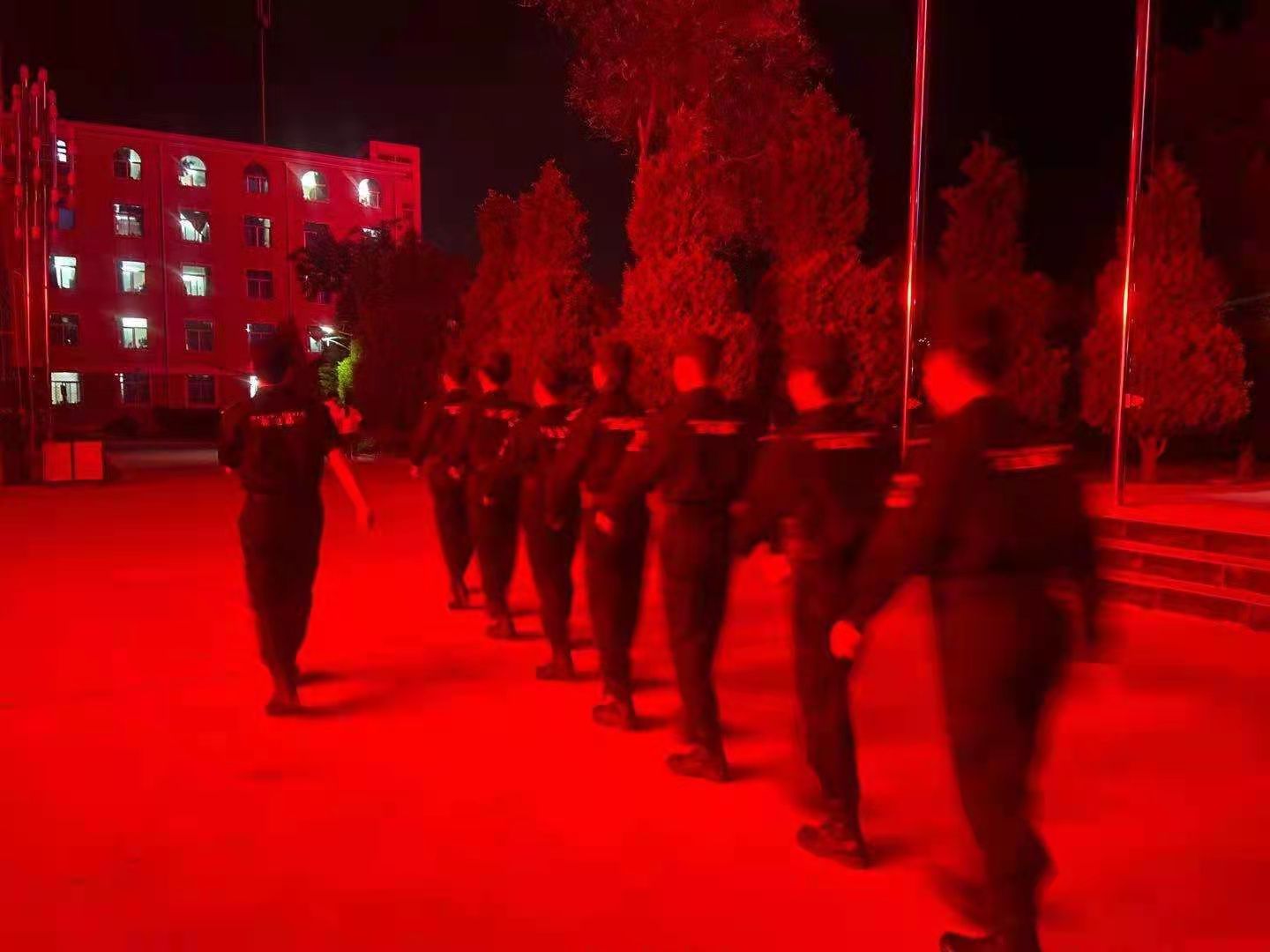 1636601008203536.jpg 44.jpg