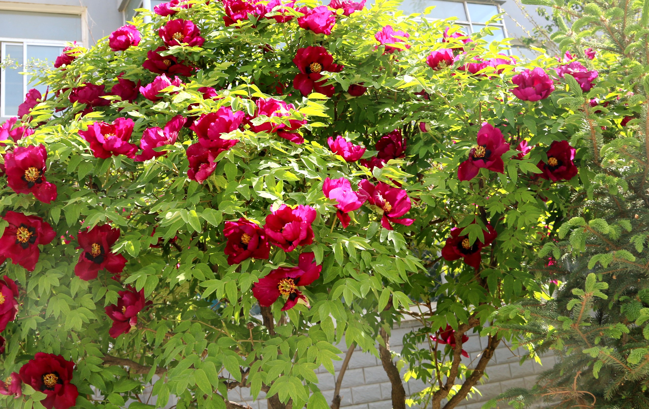 1650772116910343.jpg 1650772116910343.jpg