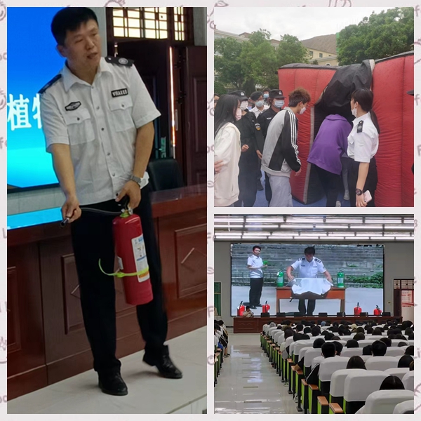 1652927737816945.jpg 2.jpg