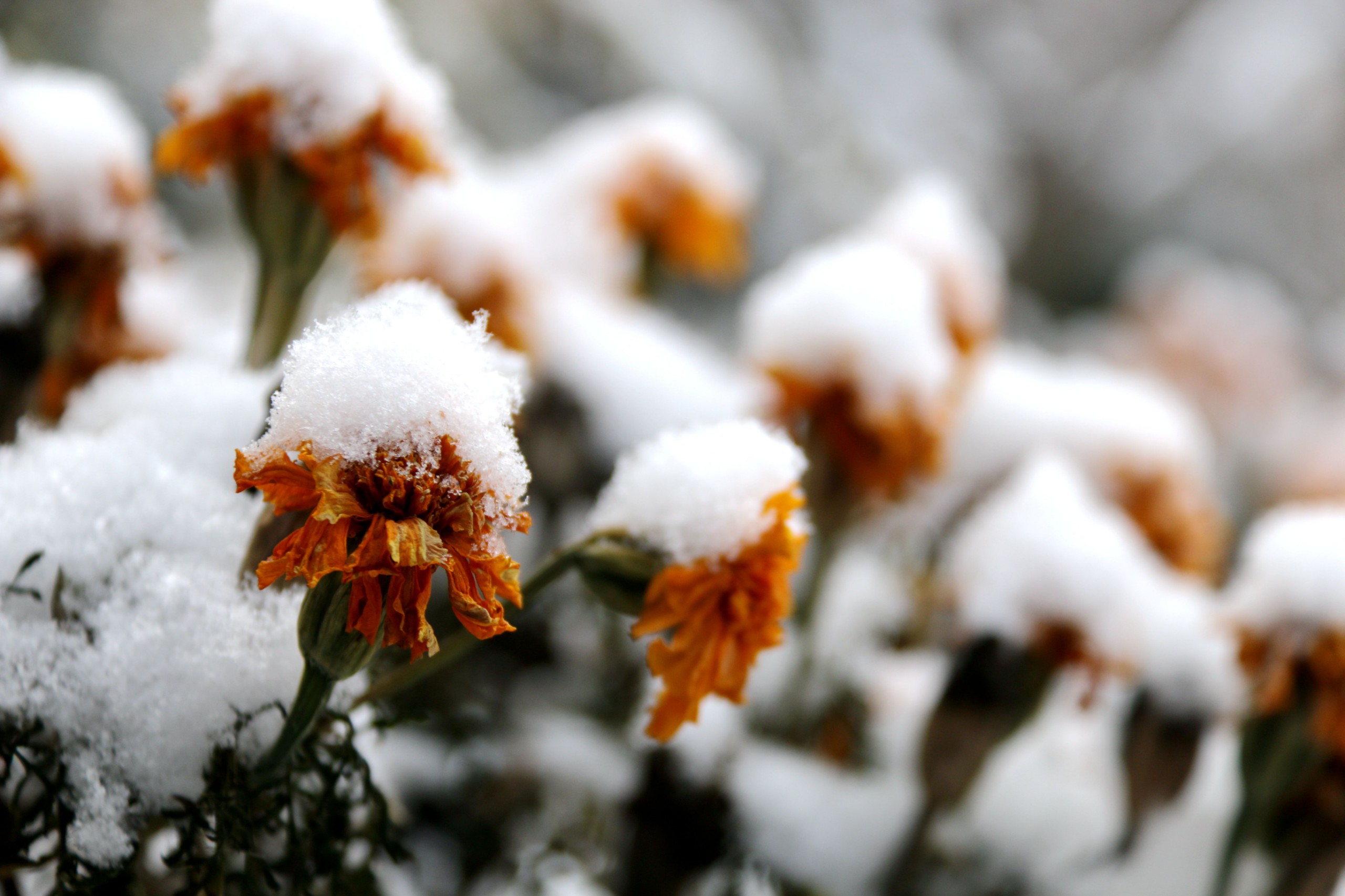 1700034406778457.jpg 1700034406778457.jpg