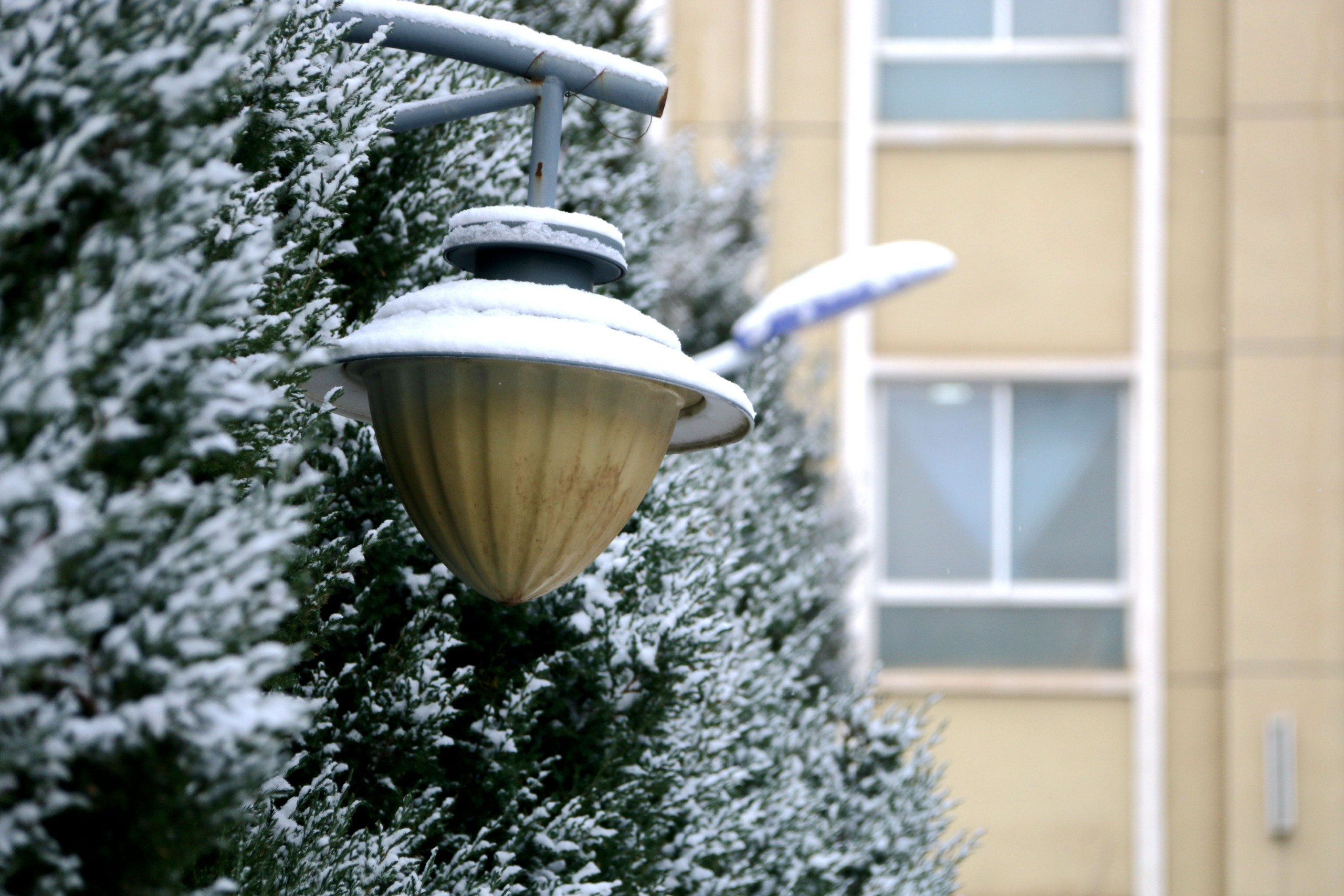 1700034419199775.jpg 1700034419199775.jpg