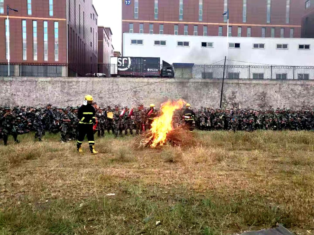 1568713113.jpg 3_副本.jpg